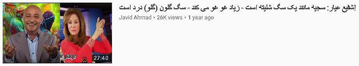 مستیهای شفیع عیار بر بال مگس