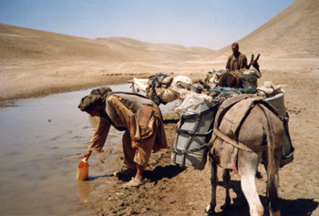 آب باران در دشتهای آبدن جمع میشود و مردم مالدار در آنجا به علت خشکسالی ناگزیر از همین آبهای کثیف و گندیده استفاده میکنند