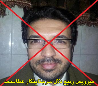 میرویس ربیع